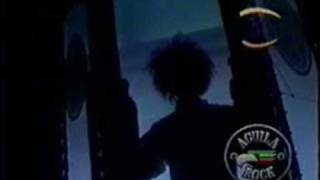 caifanes - sera por eso (video)