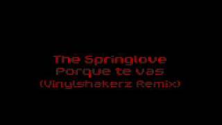 The Springlove - Porque te vas (Vinylshakerz Remix)