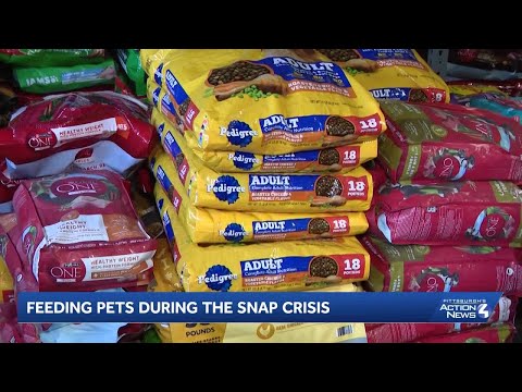 SNAP delays leave families choosing between feeding themselves or their pets - YouTube