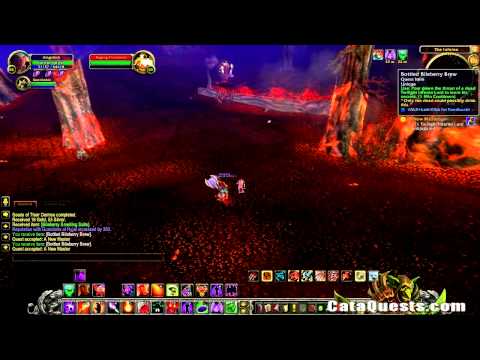 CataQuests.com - A New Master