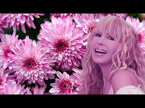 Video thumbnail for Хризантеми (Hrizantemi)