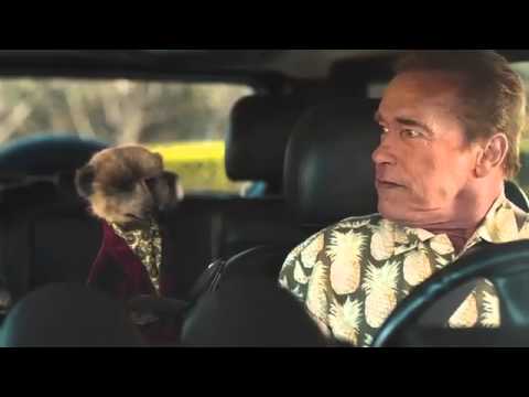 Compare the Meerkat - Advert 52