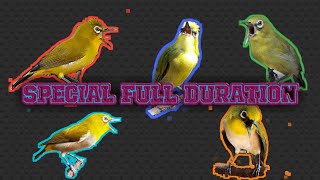 Download lagu KUMPULAN MASTERAN PLECI TERBARU ‼️‼️DURASI FULL mp3