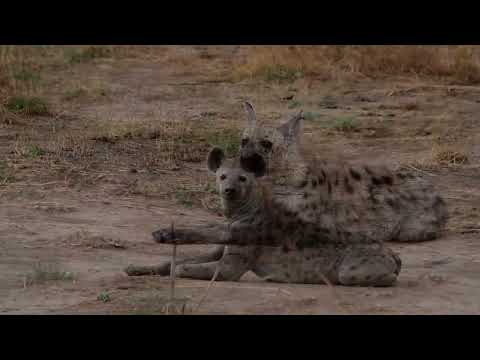 nsolo bush camp, with Time+Tide in the Luangwa Valley