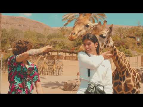 Ci Sarà Domani - Diego Lazzari (Official Video)