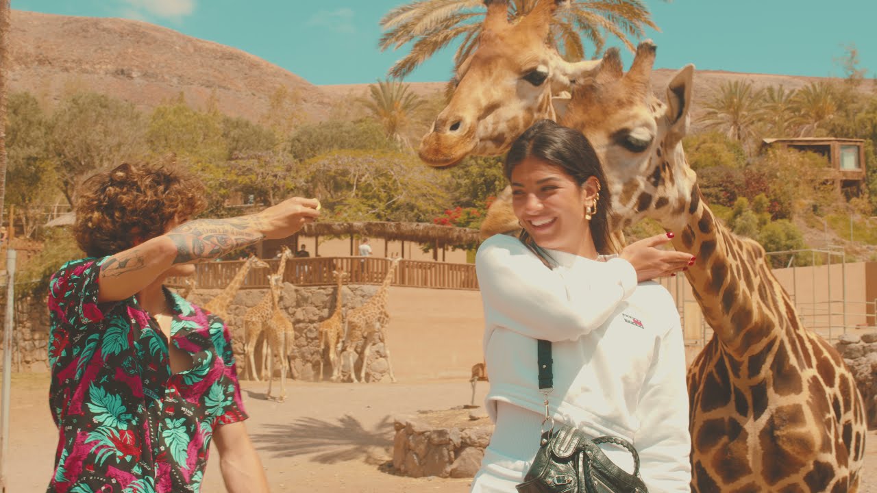 Diego Lazzari — Ci Sarà Domani