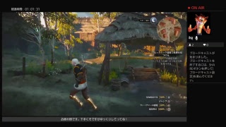 ［ウィッチャー3］狂人によるハンター生活＃11［実況］