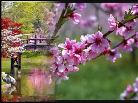 Լավ Էլի - Գարուն է եկել | Lav Eli - Spring Has Come