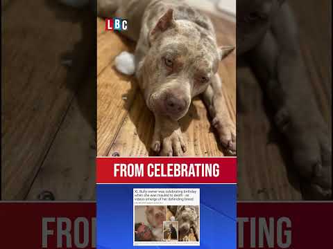 Woman killed by her own XL Bully dog | LBC
