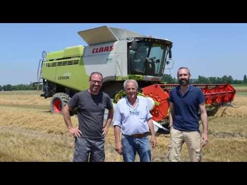CLAAS  In Campo 2016 - LEXION 670 preserie