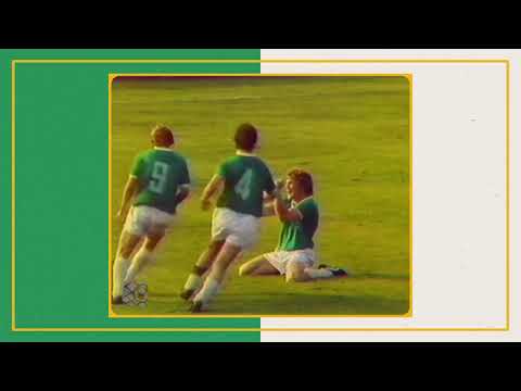 Unsere Oberliga - Unser Verein - Die BSG Chemie Leipzig auf DVD - www.panoramadigital.de