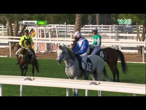 مادجانتس يفوز بالشوط الثاني لسباقات ميدان أبوظبي