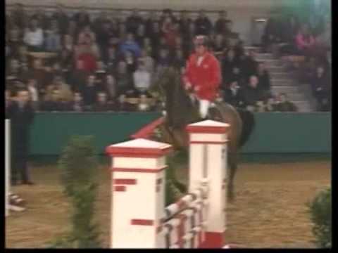 CANOSO: Holstein CATOKI stallion by www.equine-evolution.com