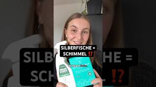 Silberfische können ein Zeichen für Schimmel in der Wohnung sein! 🆘 Schimmel entfernen? So geht‘s!