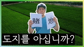 ‘도지‘ 무슨 뜻?