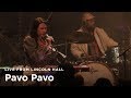 Pavo Pavo Mystery Hour Live From Lincoln Hall