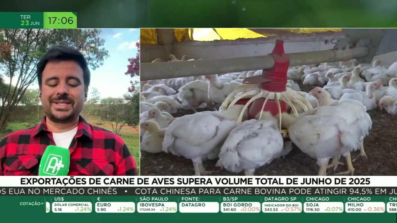 Exportações de carne de aves superam volume total de junho de 2025