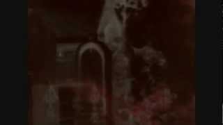 Com Truise - Cyanide Sisters