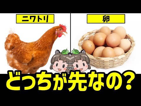 鶏に寄生虫がいるかどうかはどうすればわかりますか?これらは決して無視してはいけない7つの症状です。  庭園