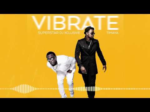 Timaya x DJ Xclusive - Vibrate [Official Audio]