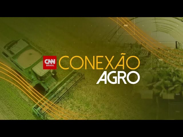 Conexão Agro: Vendas de peixes devem crescer durante a quaresma | CNN NOVO DIA