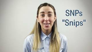 How Accurate Are Dog DNA Tests? And Which Dog DNA Tests Are 