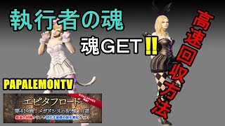 執行者の魂 高速回収『DDON』エピタフロード第3区画：メガドシスの記憶 街道【PAPALEMONTV】