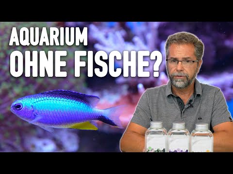 Nährstoffe im Meerwasseraquarium regulieren? - So funktionieren die ATI Nutritions