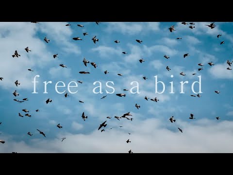 Free As A Bird (John Lennon) By Lindsay & Isaac