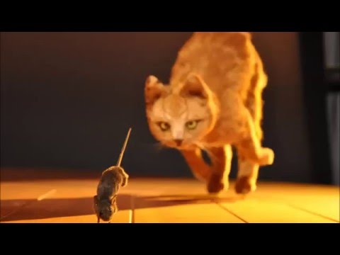 Planet Funk vs. Andrew Bayer - Chase The Points (Myon & Shane 54 Mashup)