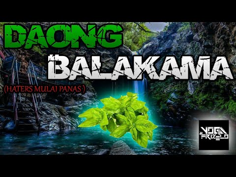 YOGA FRIZELO - DAONG BALAKAMA