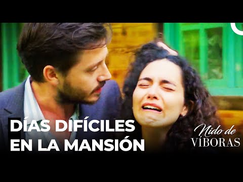 ¡Defne Fue Secuestrada! - Nido De Víboras