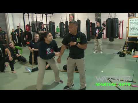 Master Apolo Teaching Lock and Flow Drills Part 2 at Warrior Martial Arts Certification Seminars