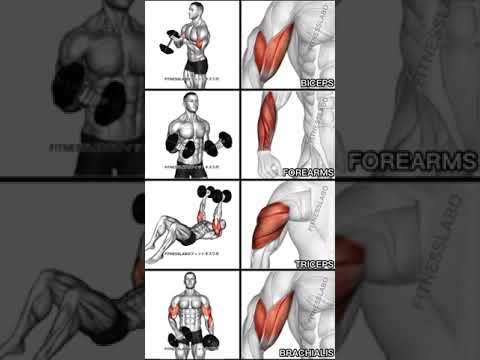 Übungen mit Kurzhanteln für die Arme