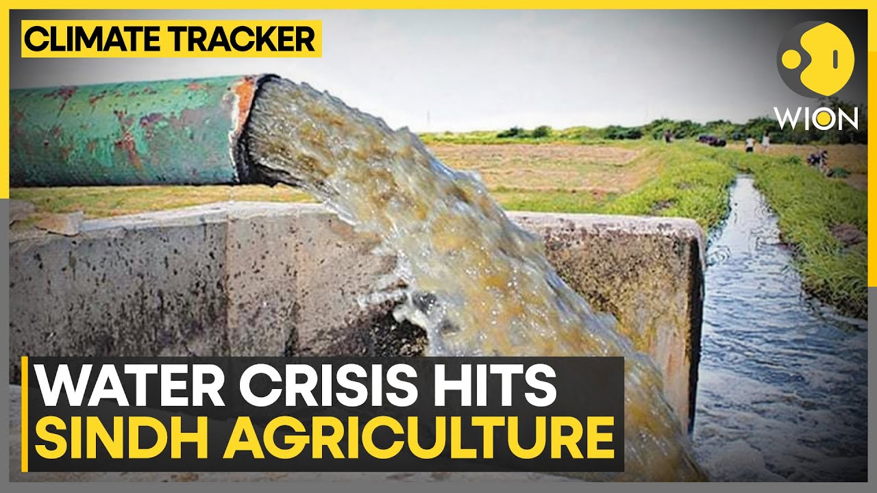 Pakistan: Sindh Farmers Face Water Shortage, Indus River Runs Dry & Crops At Risk | Climate Tracker