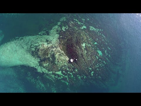 Kayıp Ada Vordonisi