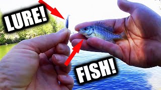 What's Happening to Old Hickory Lake? Fishing Went From BAD to WORSE!