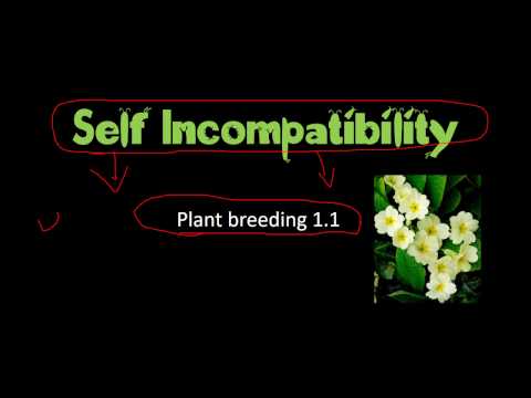 Self incompatibility in plants and significance in plant breeding Video