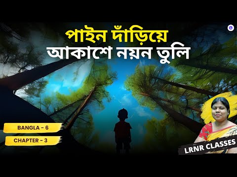 Chapter 3 Pyne Daria Akashe Nayan Tuli | পাইন দাঁড়িয়ে আকাশে নয়ন তুলি 