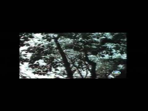 Musica do Adeus -  Sete Quedas