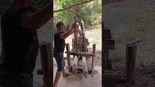 prensa de mandioca
