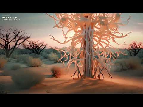 MAKJ & TJR - Concentrate [Official Visualizer]