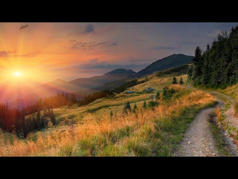 Amos & Riot Night feat. Susie Ledge — Reunited (Extended Mix)