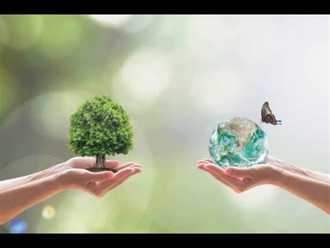 Ecologização ambiental compreendida (microaprendizagem de 3 minutos)