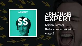 Seirian Sumner (behavioral ecologist on wasps) | Armchair Expert with Dax Shepard