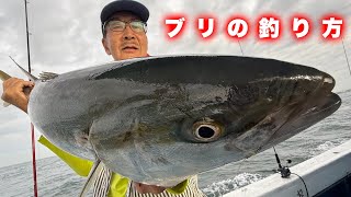 【ブリの釣り方】青物釣り初心者必見！アジのノマセ釣りを徹底解説
