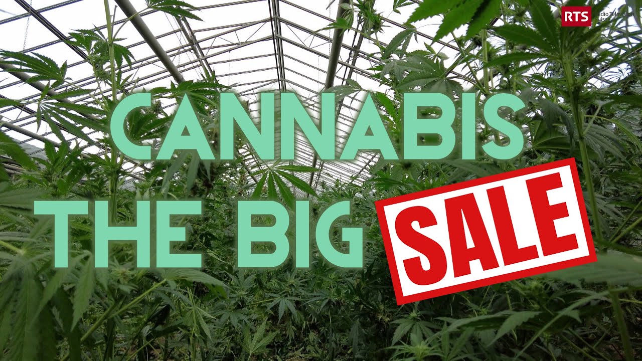 Cannabis: The Big Sale
