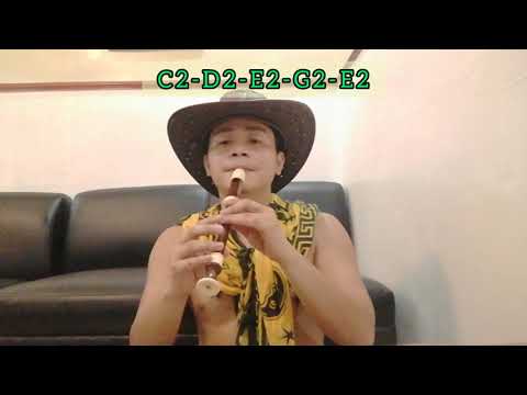 Inkapa Puriñan - Native American Music (Flute Tutorial)