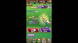 確定演出‼︎［妖怪三国志国盗りウォーズ♯5］