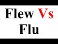 Flew vs Flu /Pair of words / Confusing words by Zeeshan Shafique